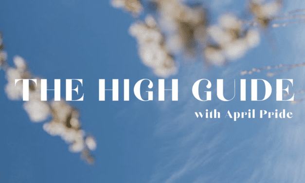 THE HIGH GUIDE – CANNABIS 101 (WHAT YOU REALLY NEED TO KNOW)
